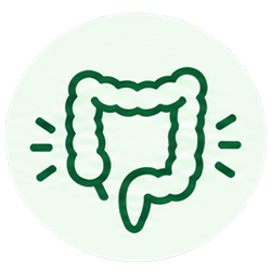 Supports Healthy Bowel Movement